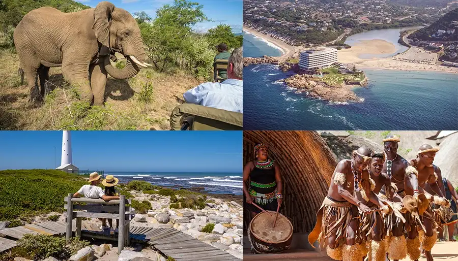 Best Time to Visit South Africa: A Useful Guide